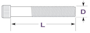 Socket Head Cap Screws